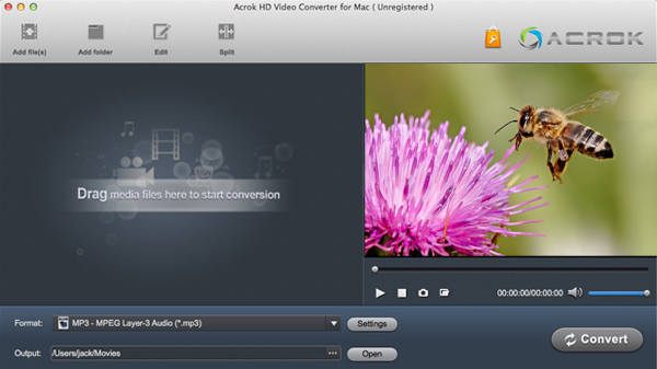 MKV to MP4 Converter-Convert MKV to MP4 with Subtitles