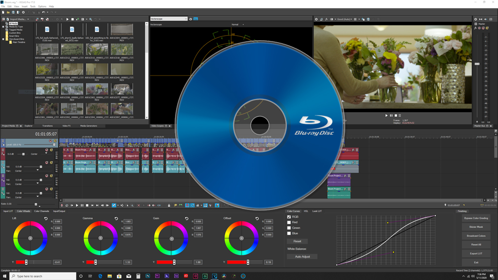 Edit Blu-ray in Vegas Pro