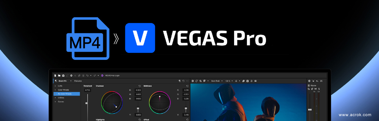Best MP4 to Vegas Pro 23 Converter